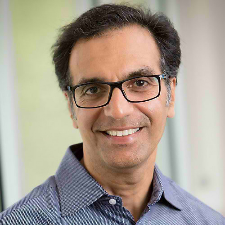 Dr. Sultan Niazi, MD