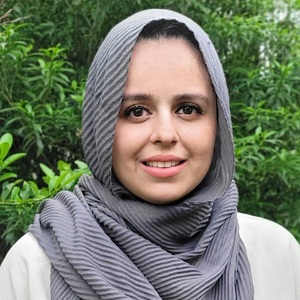 Amer Azmeh, LPC