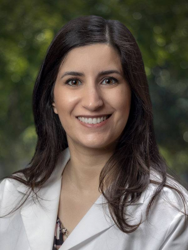 Danielle Hindi-Goodman, PA