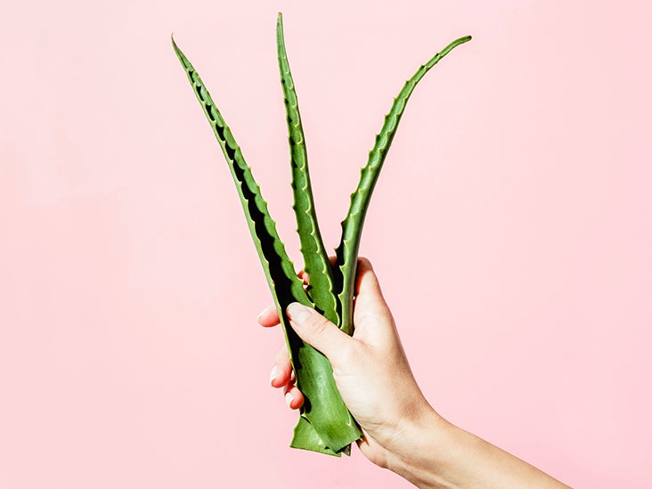 IBS Supplements: Probiotics, Fiber, and More